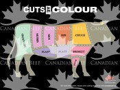 Cuts by Colour Poster 18 x 24 size