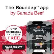 Digital promo ads for The Roundup App 2021 EN