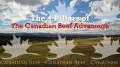 The 4 Pillars of the Canadian Beef Advantage Animation
