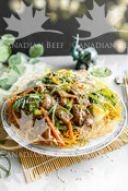 Crispy Chow Mein with Beef and Vegetables