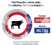 Alberta Equivalent  Number of Jobs Infographic for ABP's Provincial Beef  Information Gateway Page