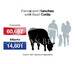Alberta Farm and Ranchers Infographic for ABP's Provincial Beef  Information Gateway Page