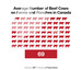Why Canadian Beef Infographics