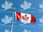 Canadian Flag Photo