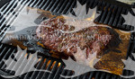 Flank Steak (plank) on Barbecue