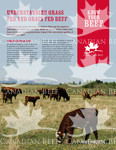 Fact Sheet - Understanding Grass Fed and Grain Fed Beef