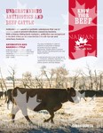 Fact Sheet - Understanding Antibiotics And Beef Cattle