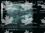 Canadian Beef Advantage Brochure