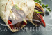 Sizzling Grilled Steak and Vegetable Wraps