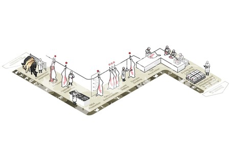Cattle Processing System Illustration - English